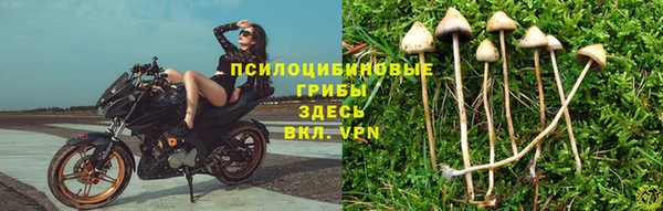 амф Бугульма