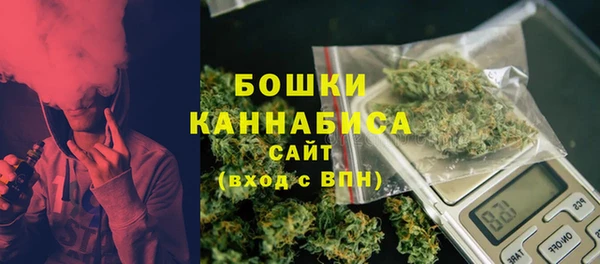 ПСИЛОЦИБИНОВЫЕ ГРИБЫ Бородино